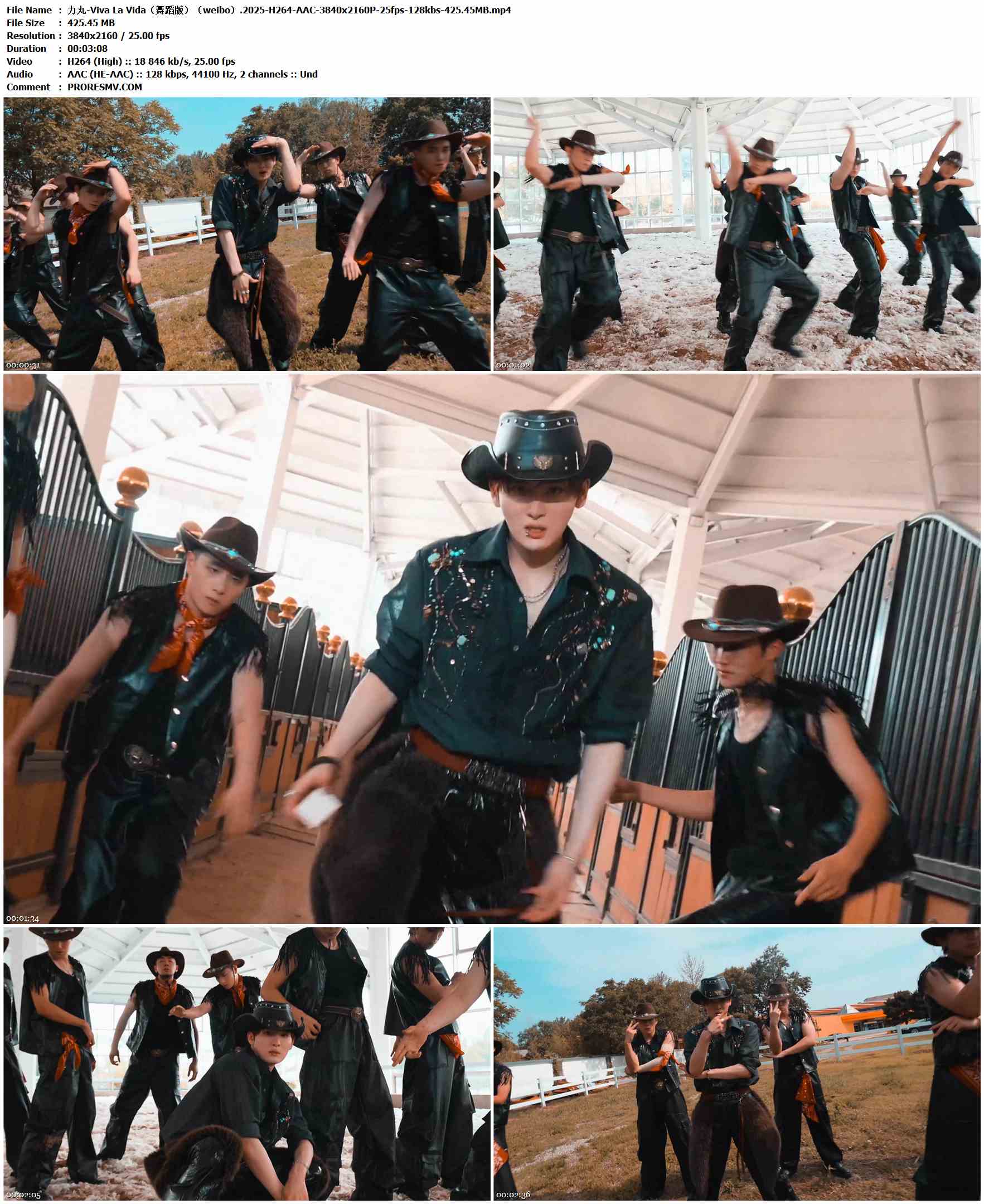 力丸 - Viva La Vida（舞蹈版）（weibo）.2025-H264-AAC-3840x2160P-25fps-128kbs-425.45MB官方MV_高清MV